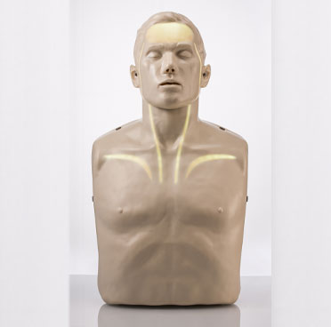 Brayden CPR Manikin White Illumination Lights